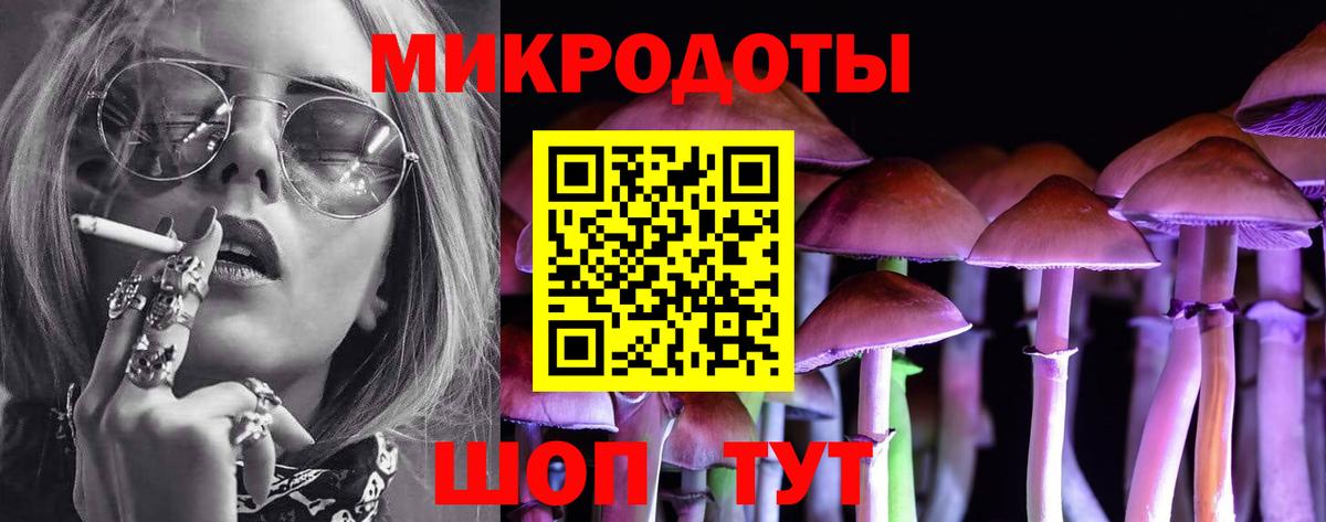 Галлюциногенные грибы Psilocybine cubensis Железногорск