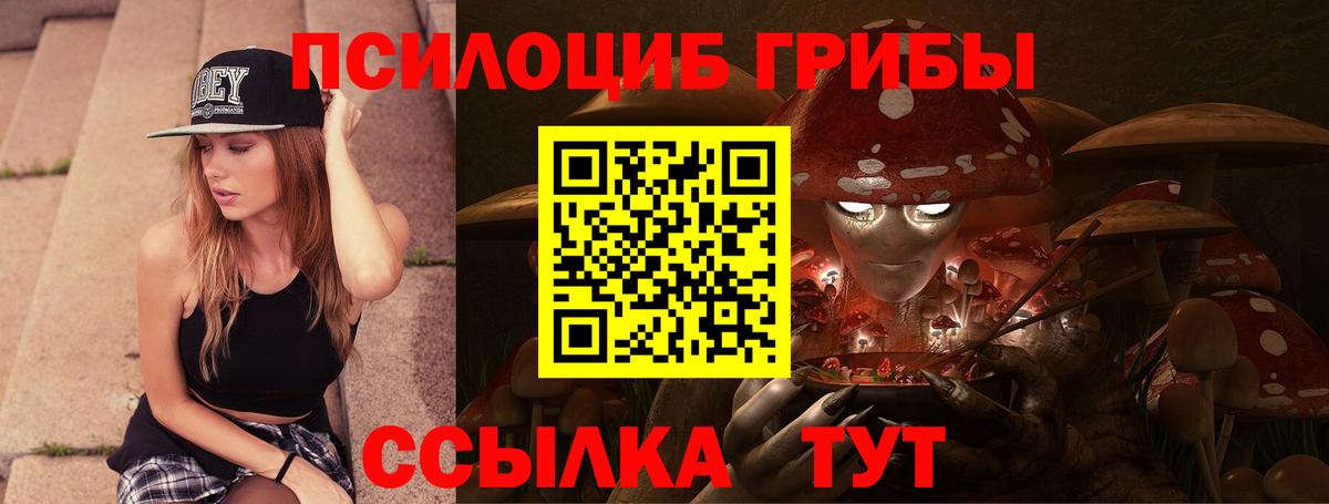 Псилоцибиновые грибы MAGIC MUSHROOMS  купить закладку  Железногорск  Вход с VPN 